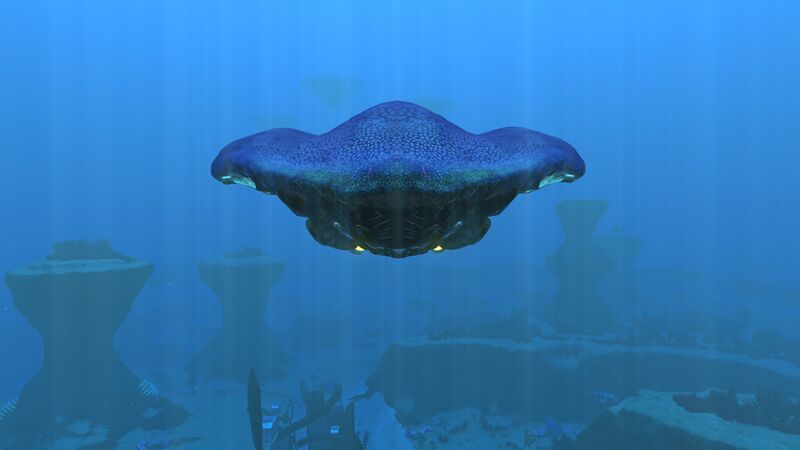 File:Reefback1.jpg