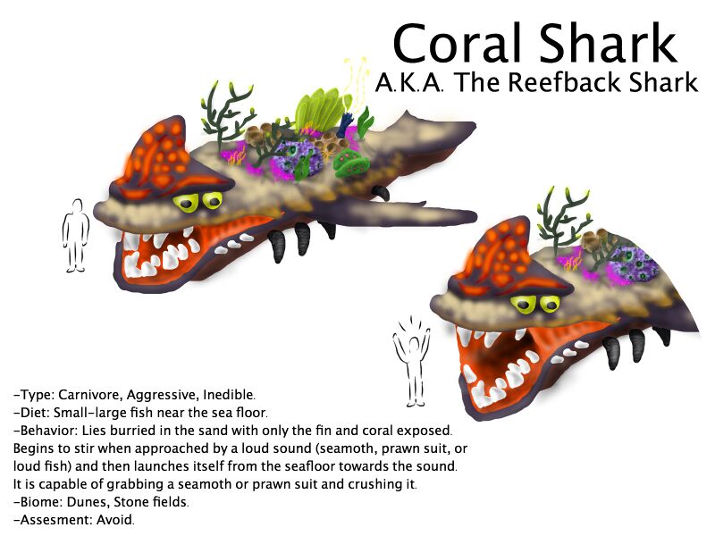 File:Coral Shark.jpg