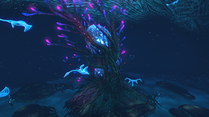 Cove tree gallery.png