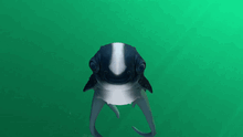 Cutefish giggle.gif