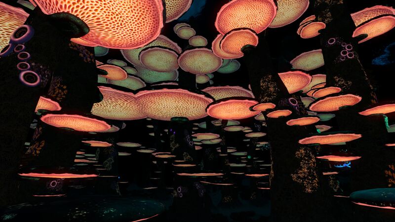 File:EasternForestNight.jpg