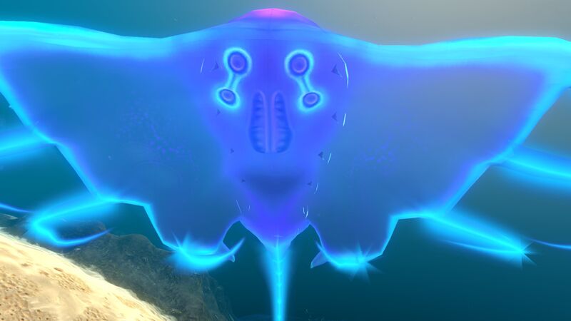 File:Jellyray Under.jpg
