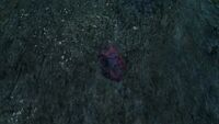 Mercury Ore found on a rockface.