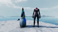 Size comparison to the player