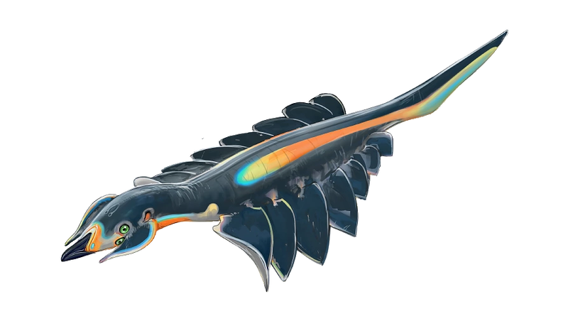File:Pinnicarid Fauna.png