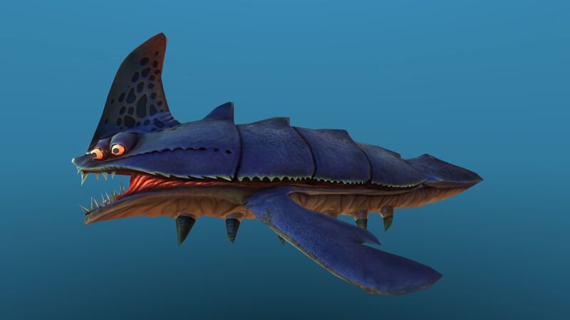 File:Sandshark 10.jpg