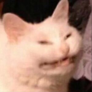 Tumblr omttcvj2mA1us6ps2o3 400.jpg