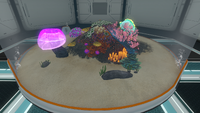 Flora growing on the floor of the Alien Containment