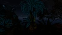 Bioluminescence