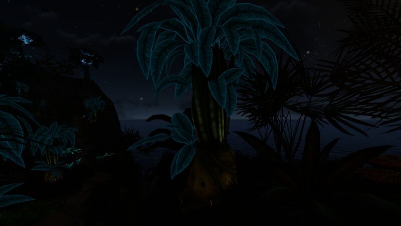 File:BulboTreeNight.jpg