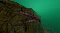 Placeholder for the Cryptosuchus
