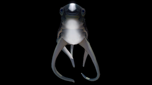 Cuddlefish.png