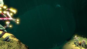 Deep Sparse Reef-3.jpg