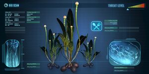 Farm Plant 2.jpg