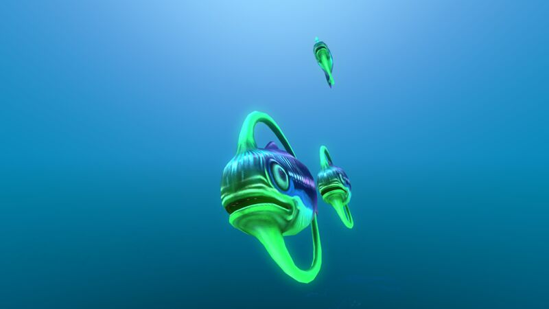 File:Hoopfish Cluster.jpg
