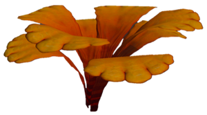 Orange Petals Plant Flora.png.png