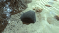 Thumbnail for version as of 21:07, 3 April 2019