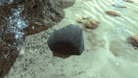 A rock found in the Mushroom Forest.