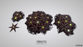 Starfish Decal Model from Sketchfab