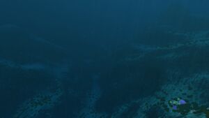 2016-02-10 00064.jpg