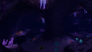 20170101000003 1.jpg