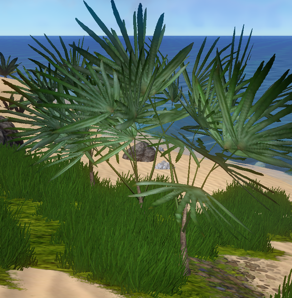 File:Fern stalk.png