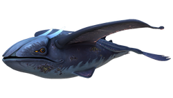 Glow Whale Fauna.png