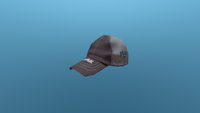 The Grey cap In-game