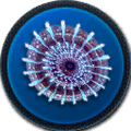 Thumbnail for version as of 17:11, 20 February 2016