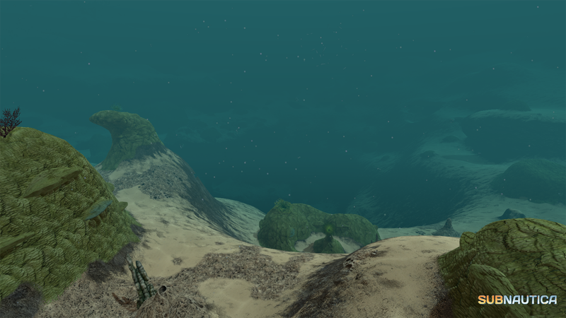 File:Sparse Coral Zone Dev 1.PNG