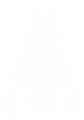 Spy Pengling icon