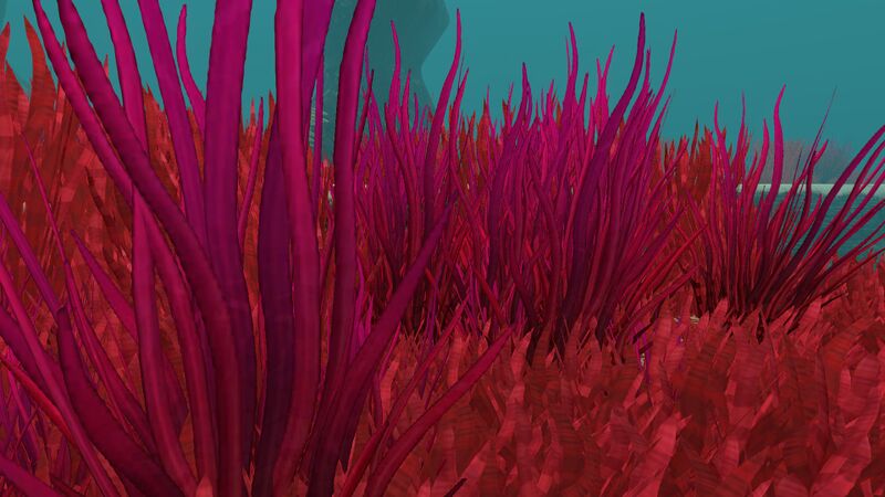 File:Bloodgrass (2).jpg