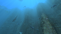 A large pack of Bonesharks in the Underwater Islands biome