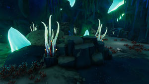 Caveplantsintemperatecave.png