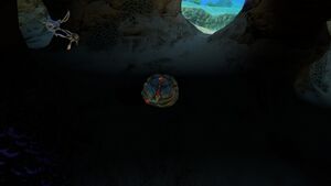 CrashfishPlant.jpg
