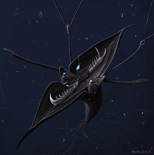 File:Crystalline cloakmouth by abiogenisis-d4nyn55.jpg