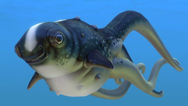 File:Cute Fish (1).jpg