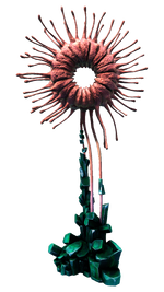 Eclipse Plant Flora.png