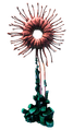 Thumbnail for version as of 19:33, 6 August 2021