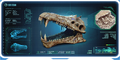 Thumbnail for version as of 23:43, 12 January 2018