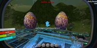 A screenshot of the incubator from Trello with Boneshark eggs as placeholders