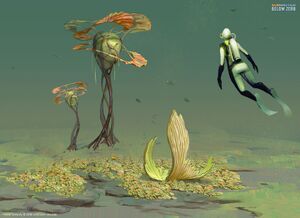 Plants 22.jpg