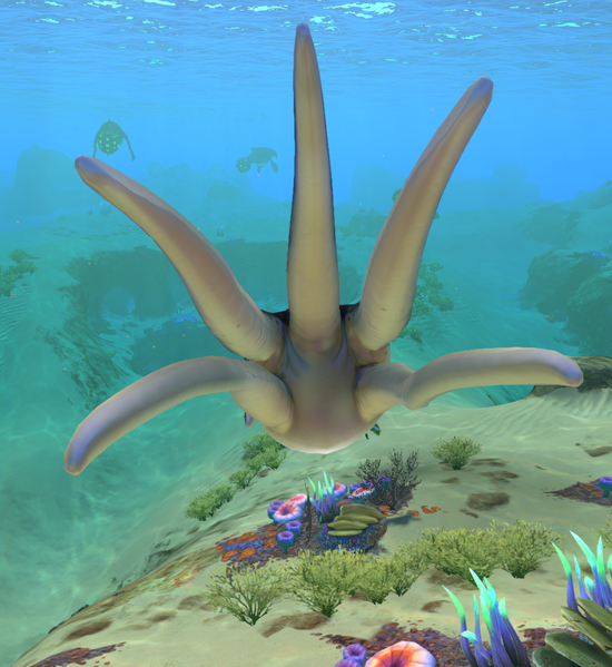 File:Rear.png