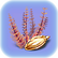 Redwort Seed.png