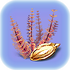 Red Bush Seed.png