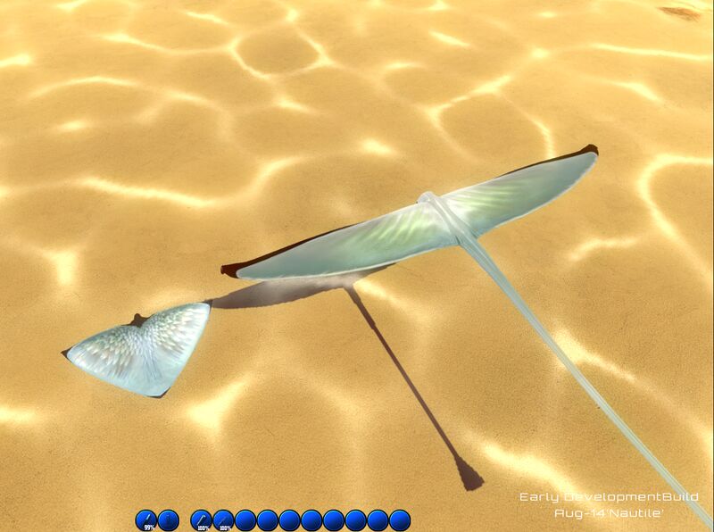 File:Skyray and Large Bird.jpeg
