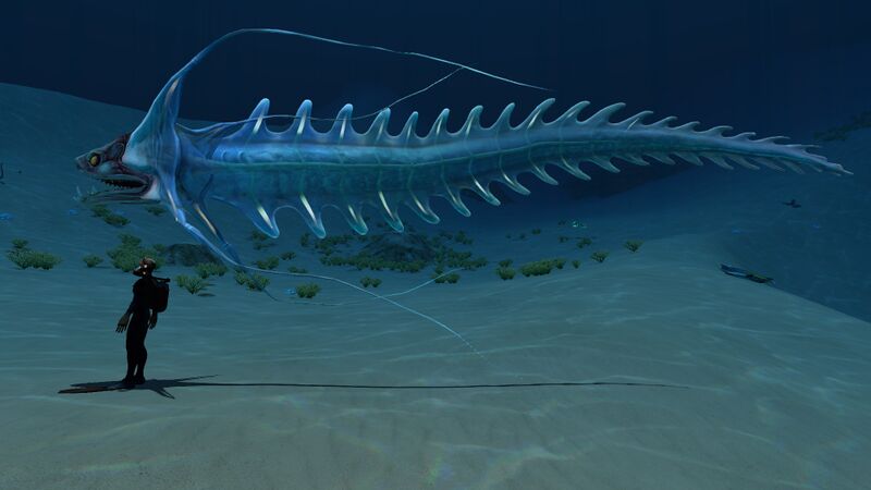 File:SpineEelSizeref.jpg