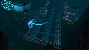 DeepGrandReef.jpg
