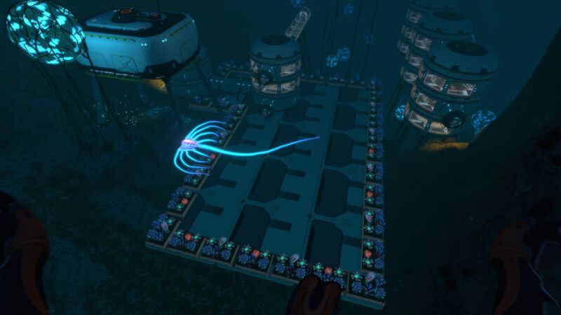 File:DeepGrandReef.jpg