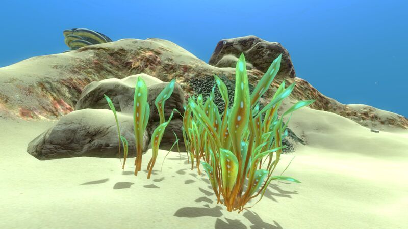 File:Green Reeds (3).jpg